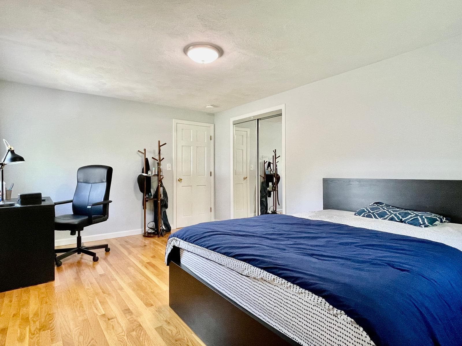 Massachusetts Real Estate Renter's Guide